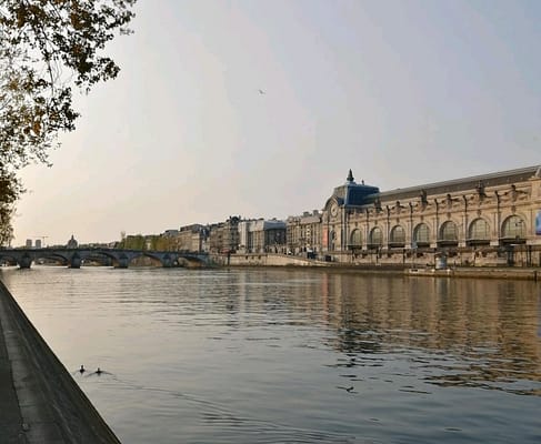 Course solidaire : balade le long des quais de Seine