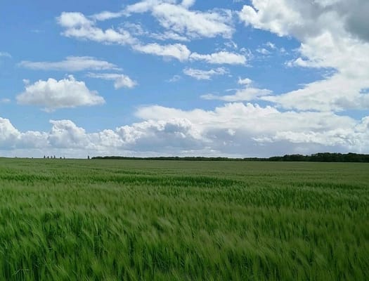 Course solidaire : balade à la campagne