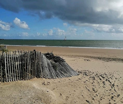 Course solidaire : course au bord de la plage